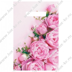 Пакет с прорубной ручкой Артпласт "Ненси", 20*30см, 30мкм Пакет с прорубной ручкой Артпласт "Ненси", 20*30см, 30мкм