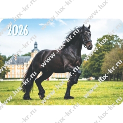 Календарь карманный на 2026г, 70*100мм