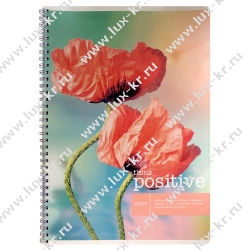 Тетрадь 80л, клетка, пружина, А4 Тетрадь 80л, клетка, пружина, А4