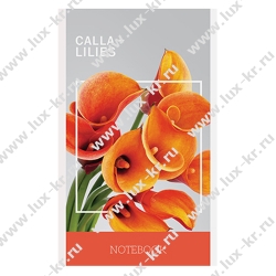 Блокнот А6, 32л на скрепке Блокнот А6, 32л на скрепке