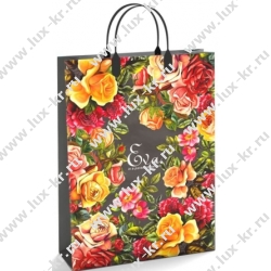 Пакет 30*40*10 с пластиковой ручкой, мягкий пластик Пакет 30*40*10 с пластиковой ручкой, мягкий пластик