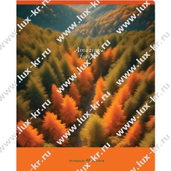 Тетрадь 48л ПИФАГОР, клетка, эконом 403013 Тетрадь 48л ПИФАГОР, клетка, эконом 403013