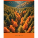 Тетрадь 48л ПИФАГОР, клетка, эконом 403013 Тетрадь 48л ПИФАГОР, клетка, эконом 403013