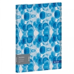 Папка с 30 вкладышами Berlingo "Bubbles" DB4_30601, 17мм, 600мкм, с внутр. карманом, с рисунком