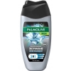 Palmolive гель д/душа Мужской 3в1 Арктический Ветер, 250мл