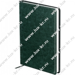 Ежедневник недатированный, А6, 160л., твердый переплет, кожзам, BG "Nebraska. Green", зеленый DuA6_61043