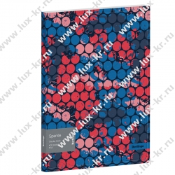 Папка с 30 вкладышами Berlingo "Sparkle" А4, 17мм, 600мкм, с внутр. карманом, с рисунком DB4_30021