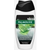 Palmolive гель д/душа Мужской Алоэ вера и Витамин Е Очищение и Уход 250мл