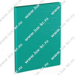 Папка с 40 вкладышами Berlingo "Your Way" А4, 24мм, 600мкм, мятная, с внутр. Карманом DB4_40893 Папка с 40 вкладышами Berlingo "Your Way" А4, 24мм, 600мкм, мятная, с внутр. Карманом DB4_40893