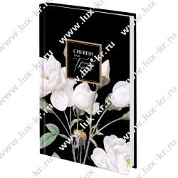 Ежедневник датированный 2026, А5, 7БЦ BG"Monochrome. Matcha", мятный, soft touch DdA5_09620