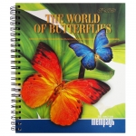 Тетрадь 96л, клетка, на спирали